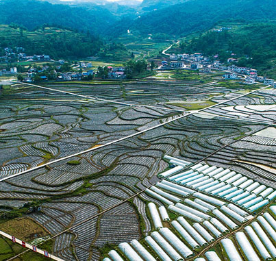 忠縣黃金鎮(zhèn)高標準農田建設項目